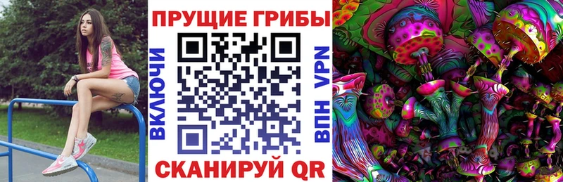 гидра tor  Данков  Галлюциногенные грибы прущие грибы  где можно купить  