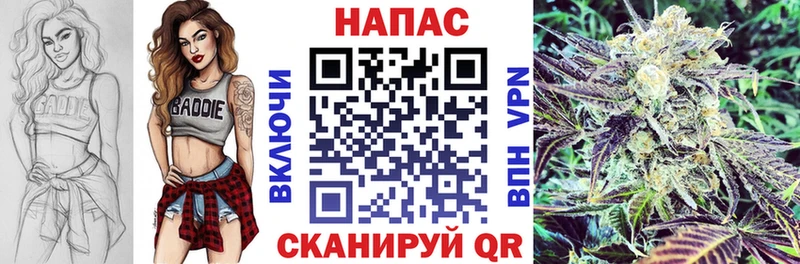 Канабис планчик  где можно купить   Данков 